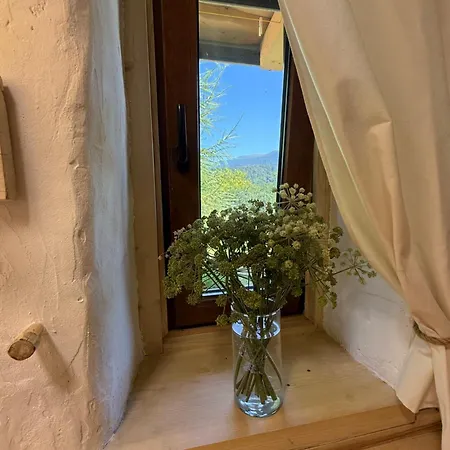 To Lem Ande Lumshory