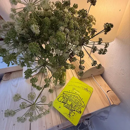 To Lem Ande Gasthuis 3*